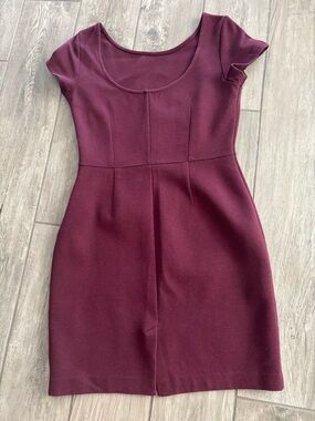 Banana Republic Factory Scoop Neck Mini Dress in Wine